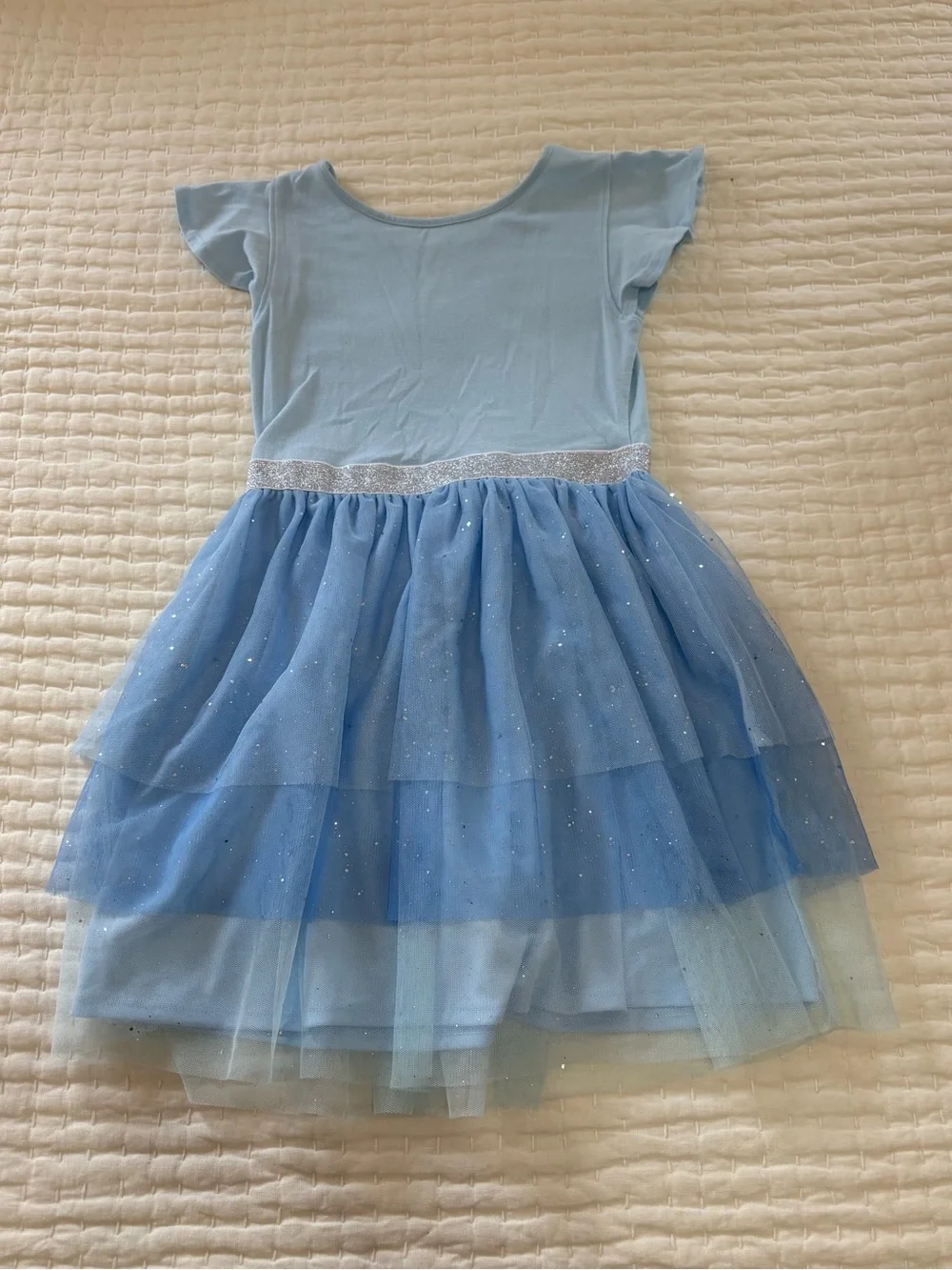 Light Blue Sparkle Tulle Dress for Kids - Elsa Graphic